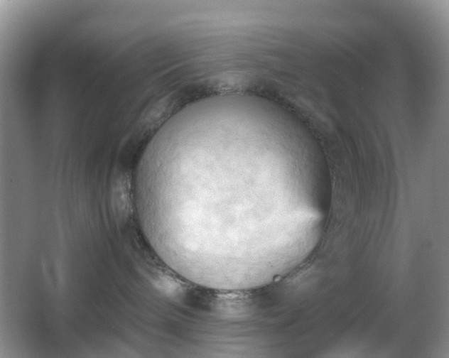 X0000067830240200604171135