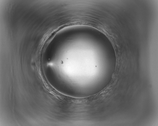 X0000067830241200604171134