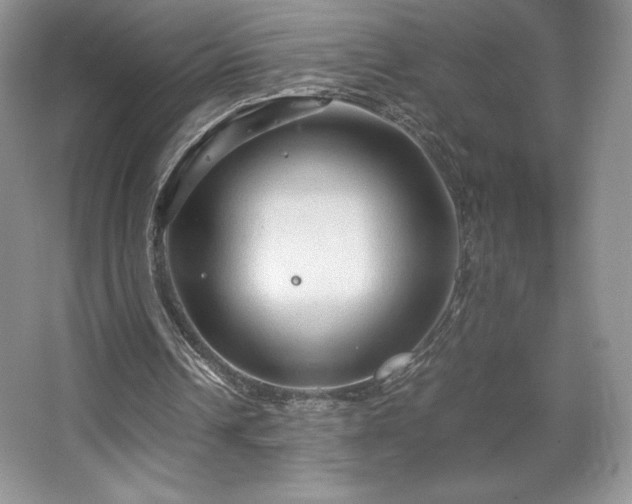 X0000067830242200604171134