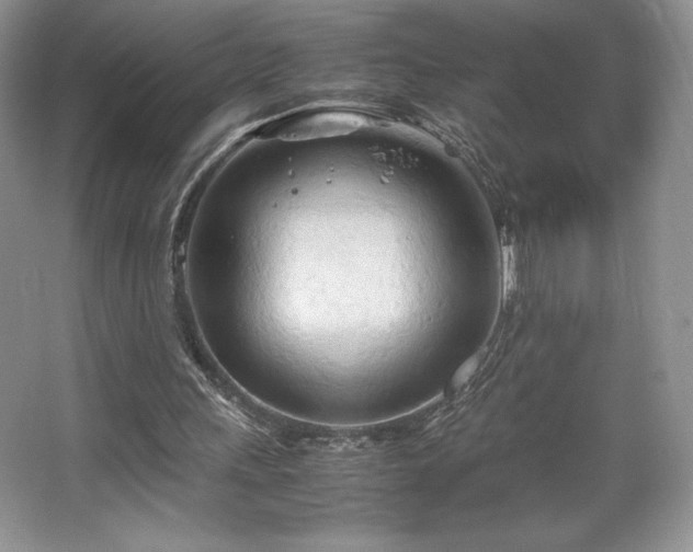 X0000067830243200604171134