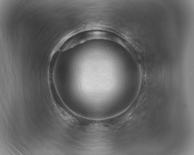 X0000067830244200604171134