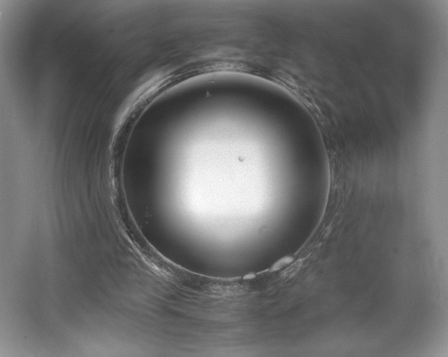 X0000067830245200604171134