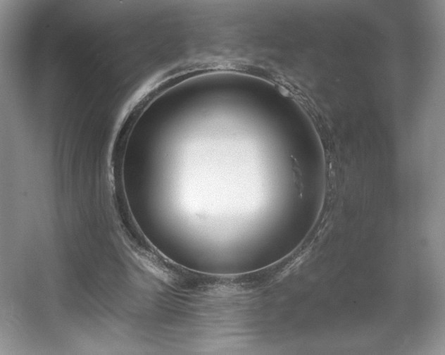 X0000067830246200604171134