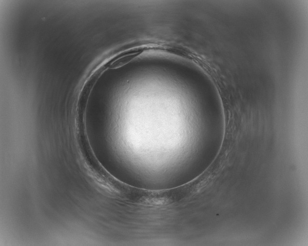 X0000067830247200604171134