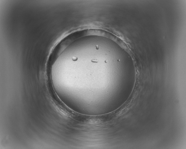 X0000067830248200604171134