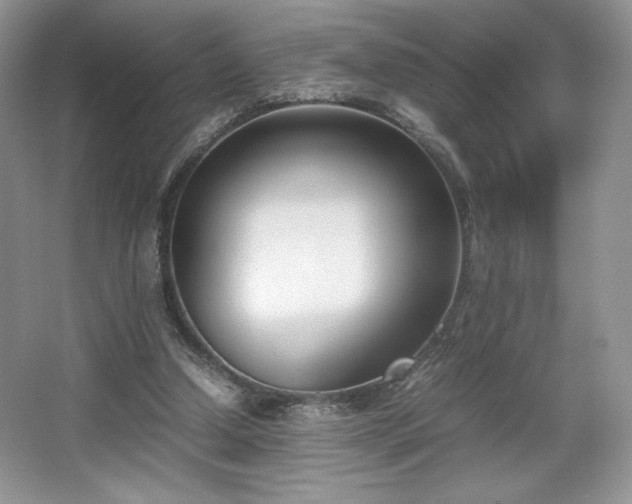 X0000067830250200604171134