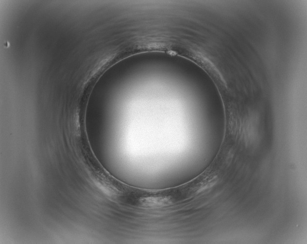 X0000067830251200604171134