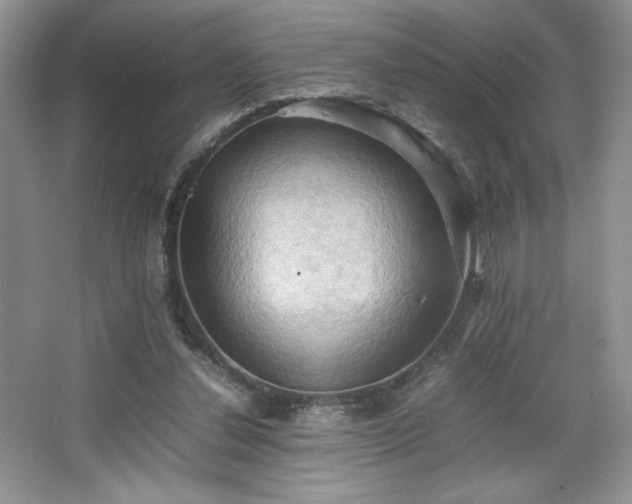 X0000067830252200604171134