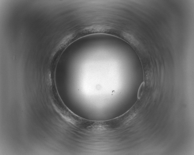 X0000067830254200604171134