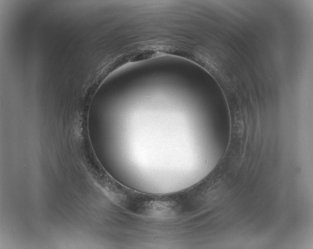 X0000067830255200604171134