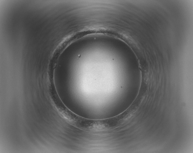 X0000067830256200604171134