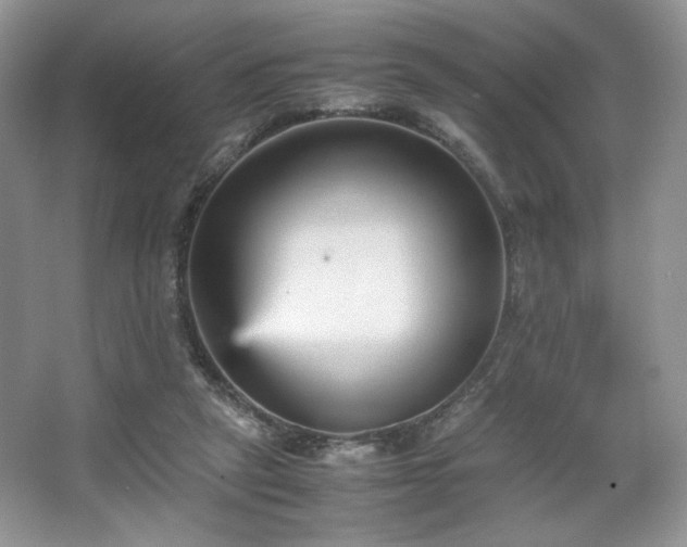 X0000067830257200604171134