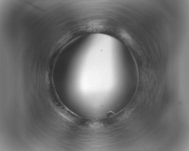 X0000067830258200604171134