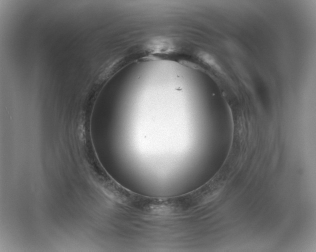 X0000067830259200604171134