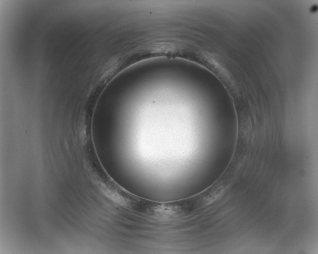 X0000067830261200604171134