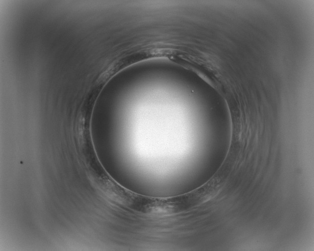 X0000067830263200604171134