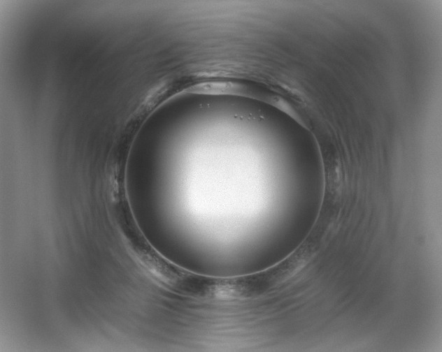 X0000067830264200604171134