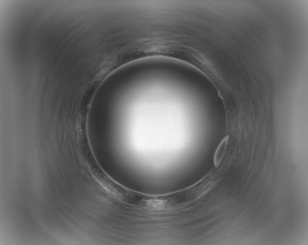 X0000067830265200604171134