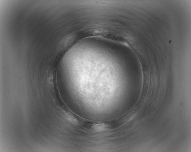 X0000067830269200604171134