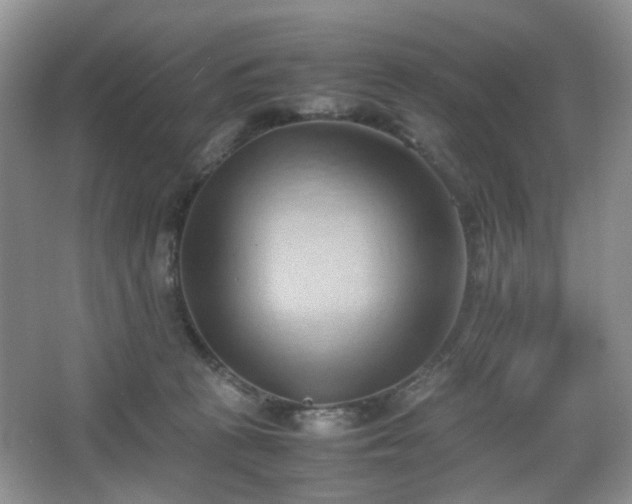 X0000067830273200604171135