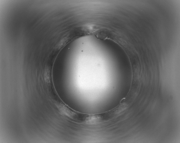 X0000067830274200604171135