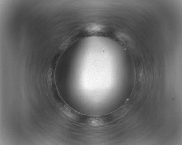 X0000067830275200604171135