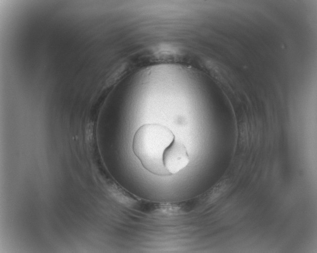 X0000067830278200604171135