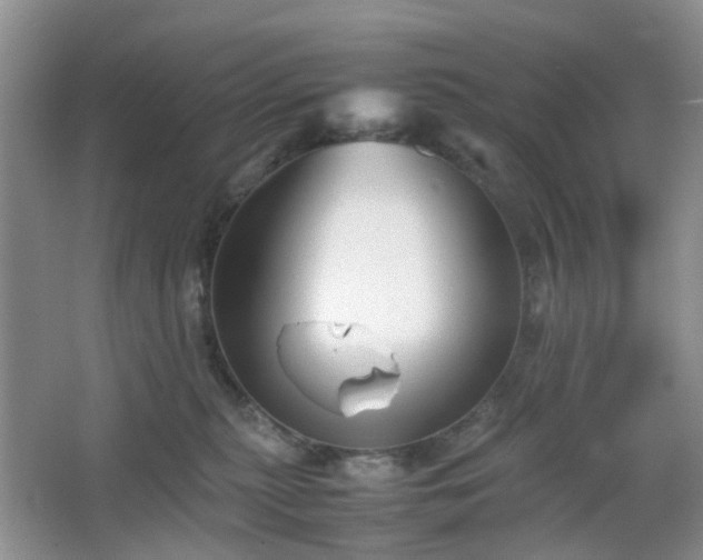 X0000067830279200604171135