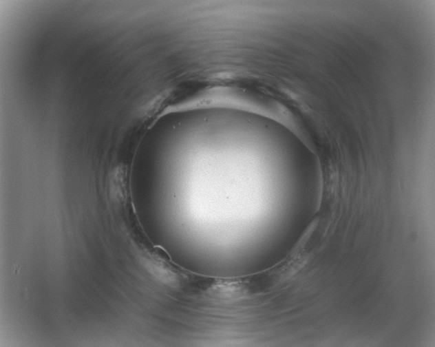 X0000067830280200604171135