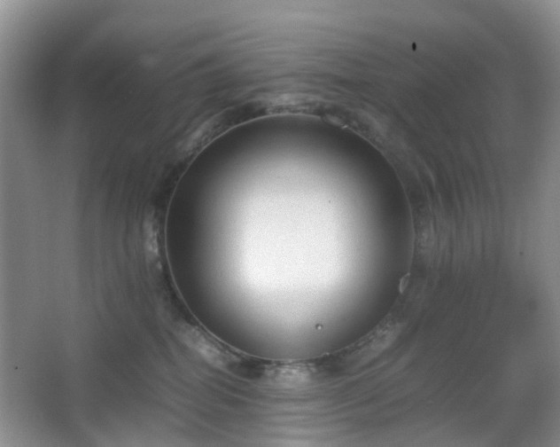 X0000067830282200604171135