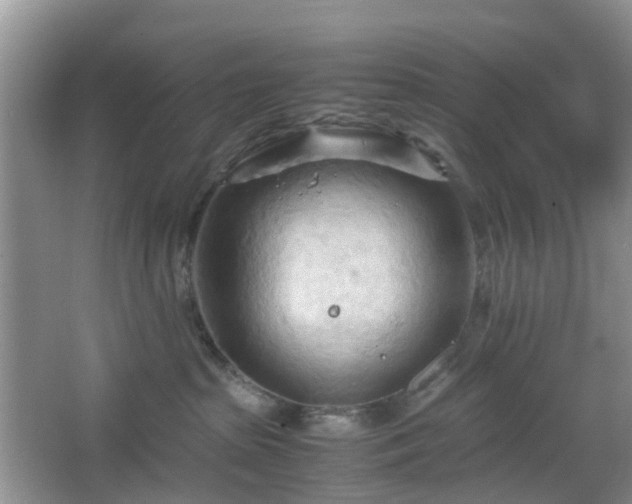 X0000067830285200604171135