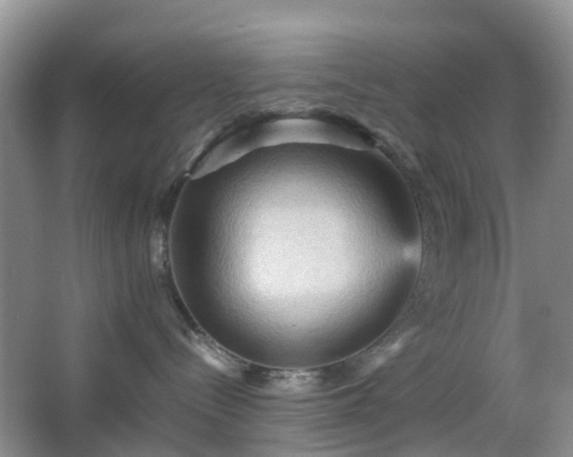 X0000067830288200604171135