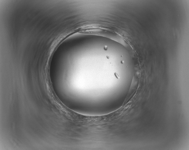 X0000067830289200604171134