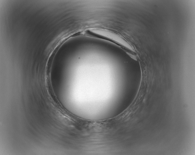 X0000067830290200604171134