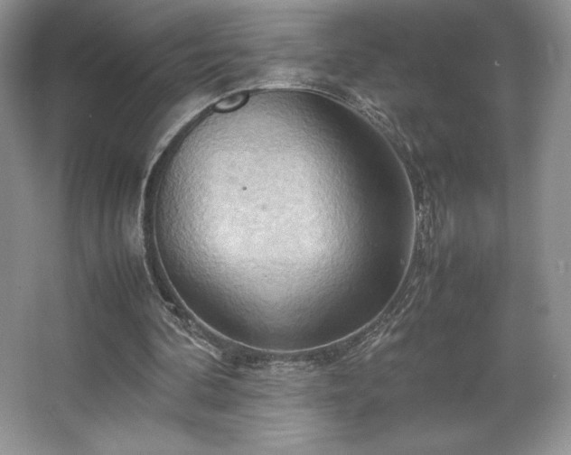 X0000067830292200604171134