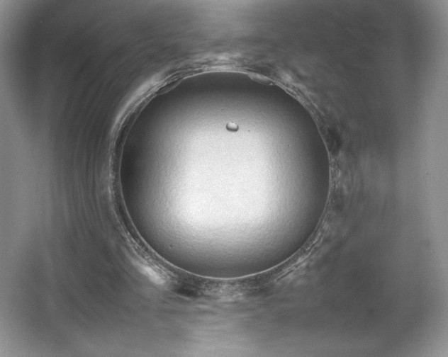 X0000067830293200604171134