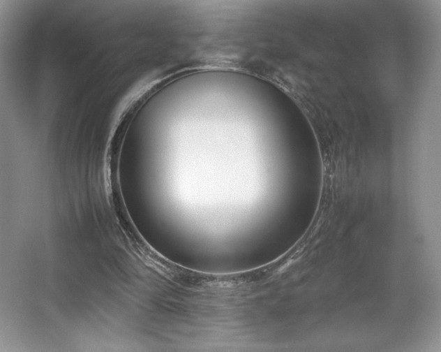 X0000067830294200604171134