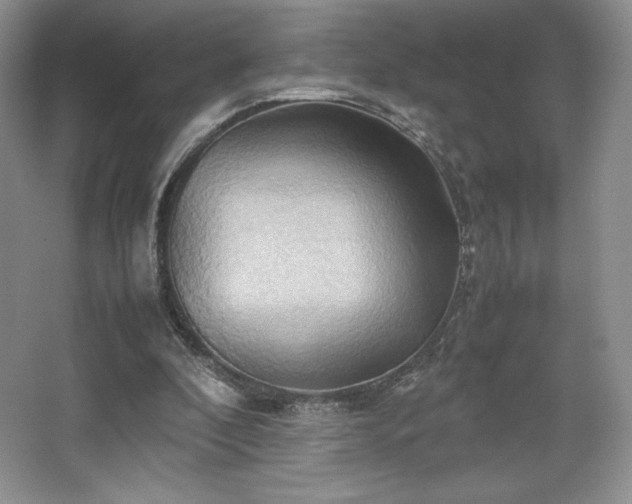 X0000067830296200604171134