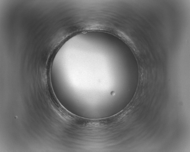 X0000067830298200604171134