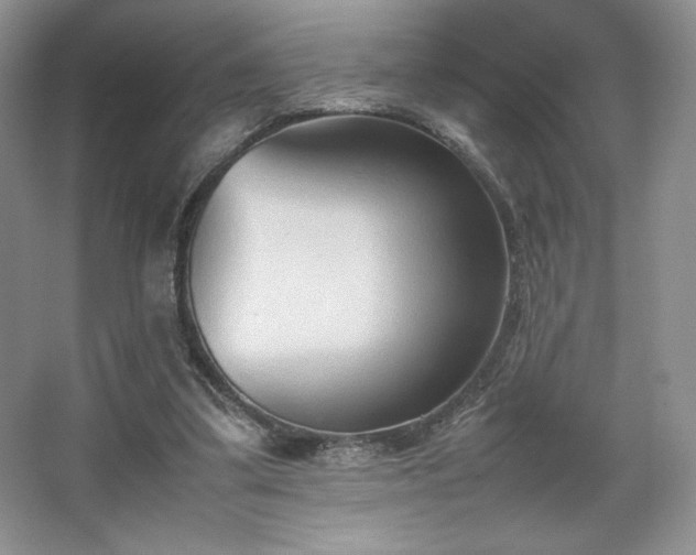 X0000067830299200604171134