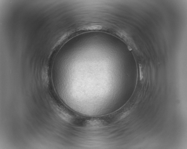 X0000067830300200604171134