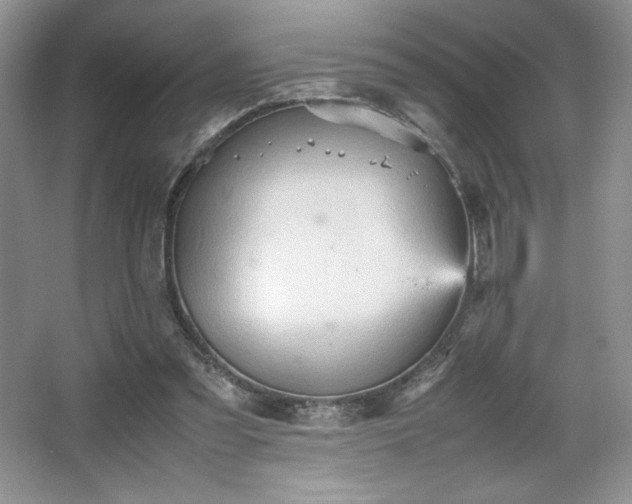 X0000067830301200604171134