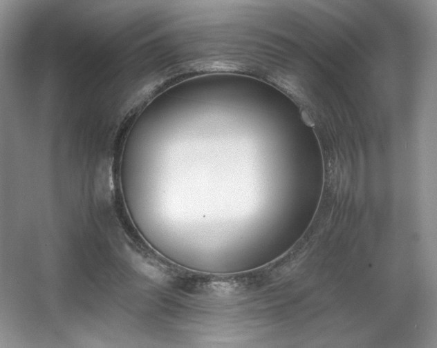 X0000067830302200604171134