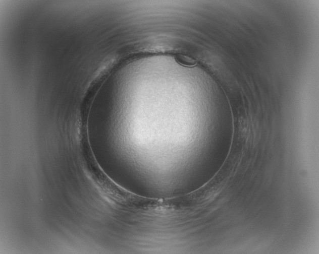 X0000067830304200604171134