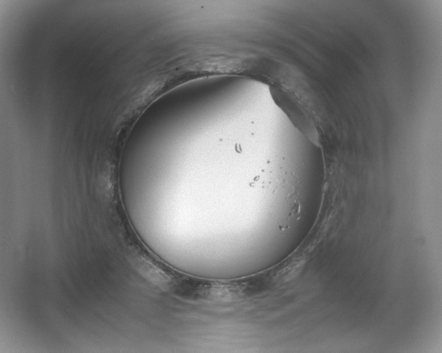 X0000067830305200604171134