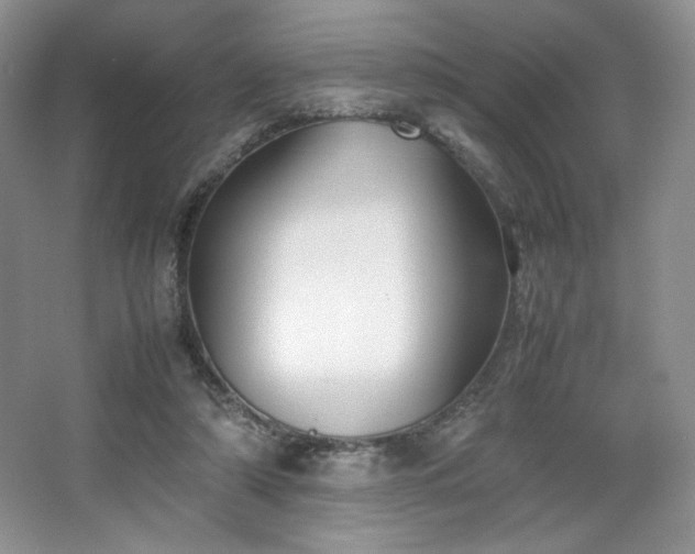 X0000067830306200604171134