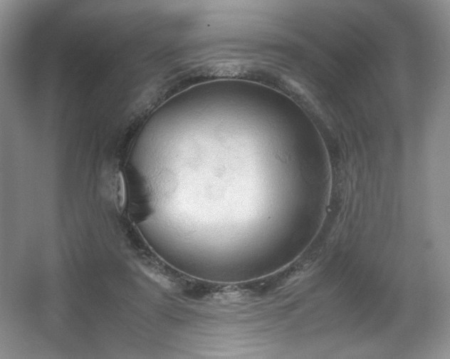 X0000067830307200604171134