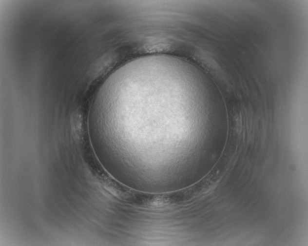 X0000067830308200604171134