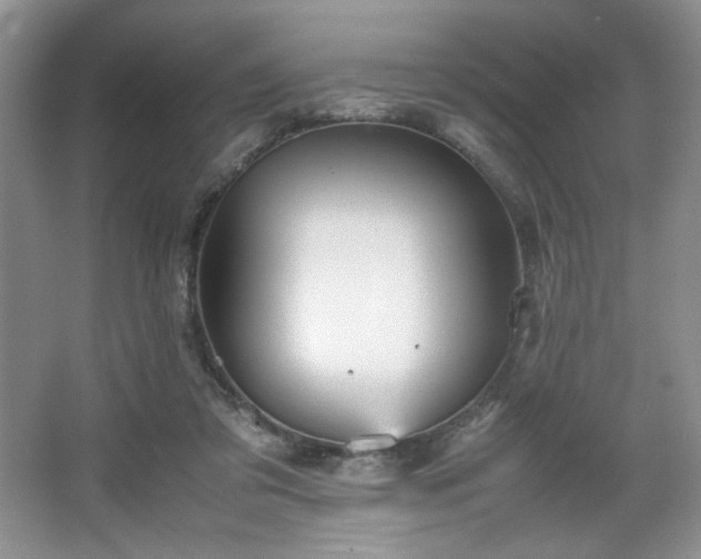 X0000067830309200604171134