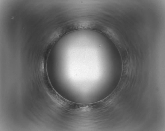 X0000067830310200604171134